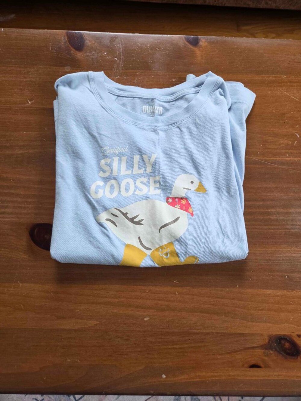Duluth Trading Silly Goose Baby Blue Lightweight Longtail T-Shirt XL Extra Large - Picture 3 of 9